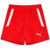 WhatsApp Image 2026-08-24 at 1.29.45 AM (1) PUMA TEAMLIGA