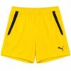 WhatsApp Image 2026-08-24 at 1.29.45 AM (3) PUMA TEAMLIGA