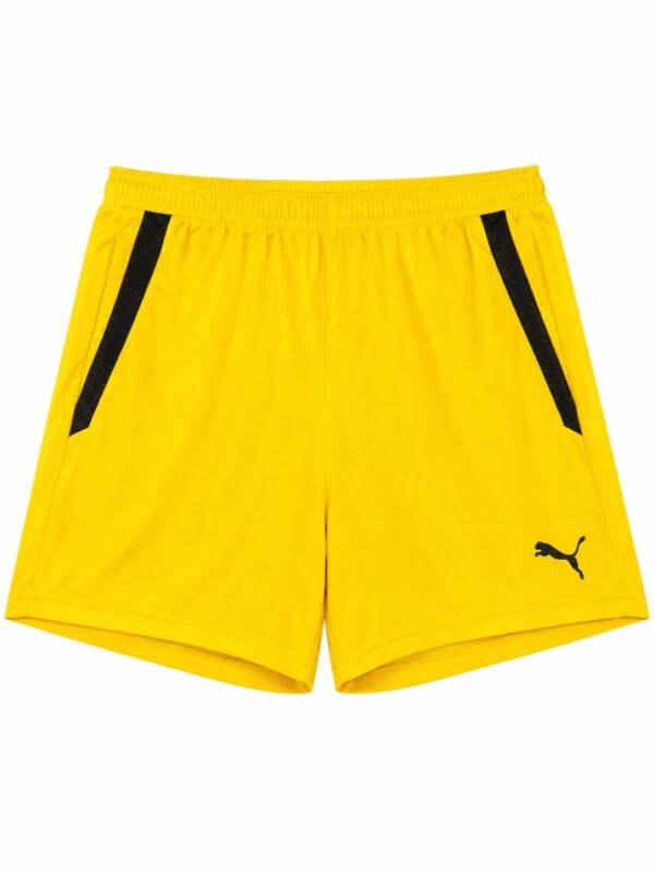 WhatsApp Image 2026-08-24 at 1.29.45 AM (3) PUMA TEAMLIGA