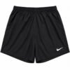 NIKE DRI-FIT PARK
