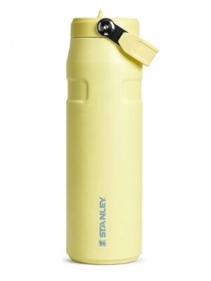 WhatsApp Image 2026-09-02 at 1.57.18 AM (1) STANLEY ICEFLOW AEROLIGHT FLIP STRAW 50OZ
